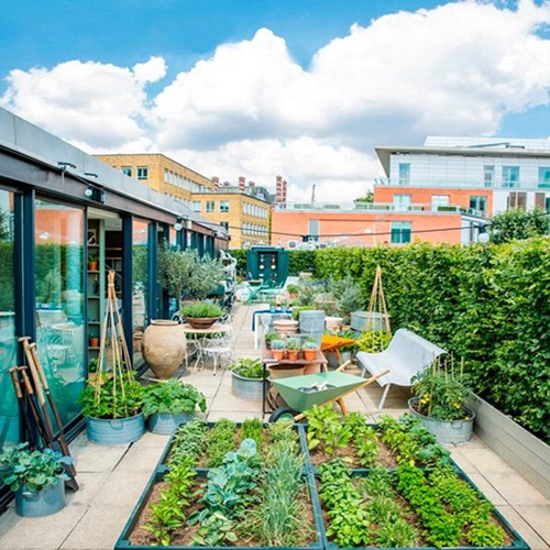 Rooftop Mini Gardens-3