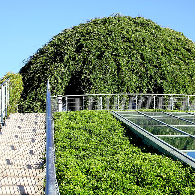 Rooftop-Mini-Gardens-001