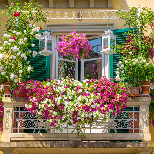 balcony-mini-gardens-001