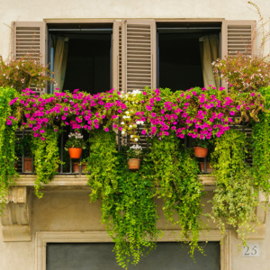 balcony-mini-gardens-002